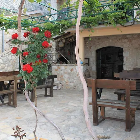 With Parking Space Ivan Dolac, Hvar - 10434 * Jelsa (Hvar)